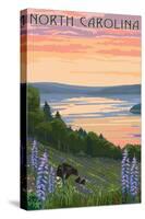 North Carolina - Lake and Bear Family-Lantern Press-Stretched Canvas