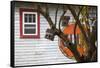 North Carolina, Linville, Antique Gulf Sign with Birdhouses-Walter Bibikow-Framed Stretched Canvas