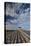 North Carolina, Outer Banks National Seashore, Bodie Island, Boardwalk-Walter Bibikow-Stretched Canvas