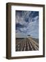 North Carolina, Outer Banks National Seashore, Bodie Island, Boardwalk-Walter Bibikow-Framed Photographic Print