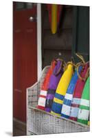 North Carolina, Outer Banks National Seashore, Corolla, Decor Buoys-Walter Bibikow-Mounted Premium Photographic Print