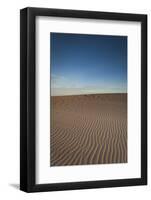 North Carolina, Outer Banks National Seashore, Jockeys Ridge Sp-Walter Bibikow-Framed Photographic Print