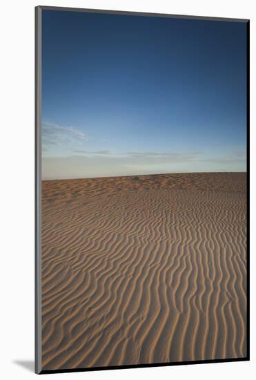 North Carolina, Outer Banks National Seashore, Jockeys Ridge Sp-Walter Bibikow-Mounted Photographic Print