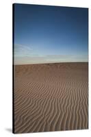 North Carolina, Outer Banks National Seashore, Jockeys Ridge Sp-Walter Bibikow-Stretched Canvas