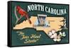 North Carolina - State Icons-Lantern Press-Framed Stretched Canvas