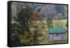 North Carolina, Valle Crucis, Old Farmhouse, Autumn-Walter Bibikow-Framed Stretched Canvas