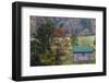 North Carolina, Valle Crucis, Old Farmhouse, Autumn-Walter Bibikow-Framed Photographic Print