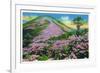 North Carolina - View of Purple Rhododendron in Bloom Near Blue Ridge Parkway-Lantern Press-Framed Premium Giclee Print