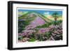 North Carolina - View of Purple Rhododendron in Bloom Near Blue Ridge Parkway-Lantern Press-Framed Art Print