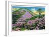 North Carolina - View of Purple Rhododendron in Bloom Near Blue Ridge Parkway-Lantern Press-Framed Art Print