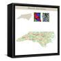 North Carolina-IndianSummer-Framed Stretched Canvas