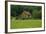 North Cascades Barn-George Johnson-Framed Photographic Print