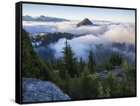 North Cascades National Park, Washington-Ethan Welty-Framed Stretched Canvas