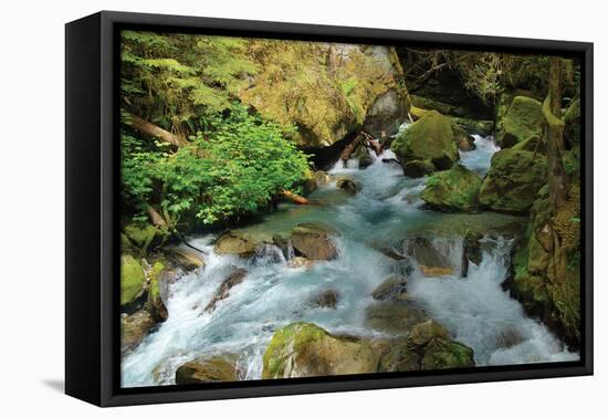 North Cascades NP I-George Johnson-Framed Stretched Canvas