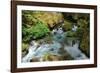 North Cascades NP I-George Johnson-Framed Photographic Print