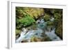 North Cascades NP I-George Johnson-Framed Photographic Print