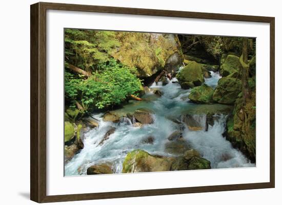 North Cascades NP I-George Johnson-Framed Photographic Print