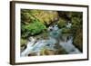 North Cascades NP I-George Johnson-Framed Photographic Print