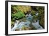 North Cascades NP I-George Johnson-Framed Photographic Print