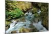 North Cascades NP I-George Johnson-Mounted Photographic Print