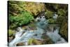 North Cascades NP I-George Johnson-Stretched Canvas