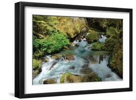 North Cascades NP I-George Johnson-Framed Photographic Print