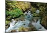 North Cascades NP I-George Johnson-Mounted Photographic Print