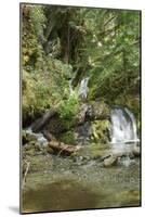 North Cascades NP II-George Johnson-Mounted Photographic Print