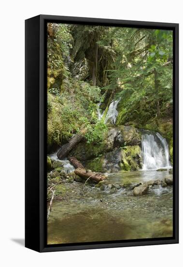 North Cascades NP II-George Johnson-Framed Stretched Canvas