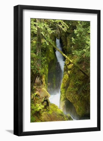 North Cascades NP III-George Johnson-Framed Photographic Print