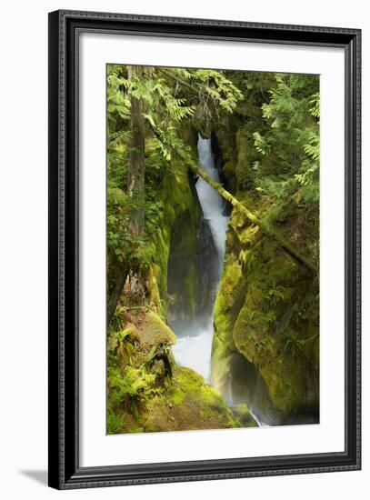 North Cascades NP III-George Johnson-Framed Photographic Print