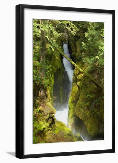 North Cascades NP III-George Johnson-Framed Photographic Print