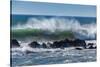 North Cayucos IV-Lee Peterson-Stretched Canvas