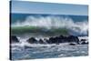 North Cayucos IV-Lee Peterson-Stretched Canvas