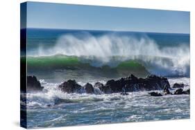 North Cayucos IV-Lee Peterson-Stretched Canvas