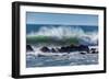 North Cayucos IV-Lee Peterson-Framed Photo