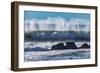 North Cayucos VI-Lee Peterson-Framed Photo