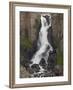 North Clear Creek Falls, Rio Grande National Forest, Colorado, USA-James Hager-Framed Photographic Print