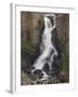 North Clear Creek Falls, Rio Grande National Forest, Colorado, USA-James Hager-Framed Photographic Print