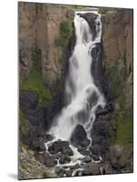 North Clear Creek Falls, Rio Grande National Forest, Colorado, USA-James Hager-Mounted Photographic Print