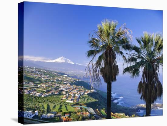 North Coast and Mount Teide, Tenerife, Canary Islands, Spain-John Miller-Stretched Canvas