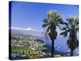 North Coast and Mount Teide, Tenerife, Canary Islands, Spain-John Miller-Stretched Canvas