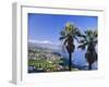 North Coast and Mount Teide, Tenerife, Canary Islands, Spain-John Miller-Framed Photographic Print