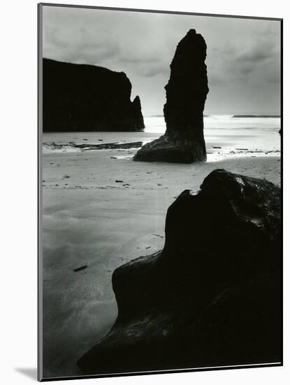 North Coast, California, 1957-Brett Weston-Mounted Photographic Print