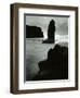 North Coast, California, 1957-Brett Weston-Framed Photographic Print