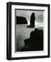 North Coast, California, 1957-Brett Weston-Framed Photographic Print