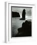 North Coast, California, 1957-Brett Weston-Framed Photographic Print