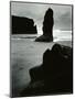 North Coast, California, 1957-Brett Weston-Mounted Photographic Print