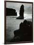 North Coast, California, 1957-Brett Weston-Framed Photographic Print