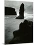 North Coast, California, 1957-Brett Weston-Mounted Photographic Print